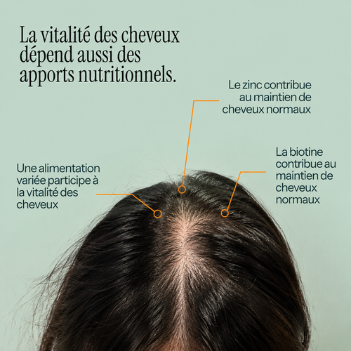 Complément alimentaire cheveux Kalaboost – Hair Boost plantes & zinc KALABOOST