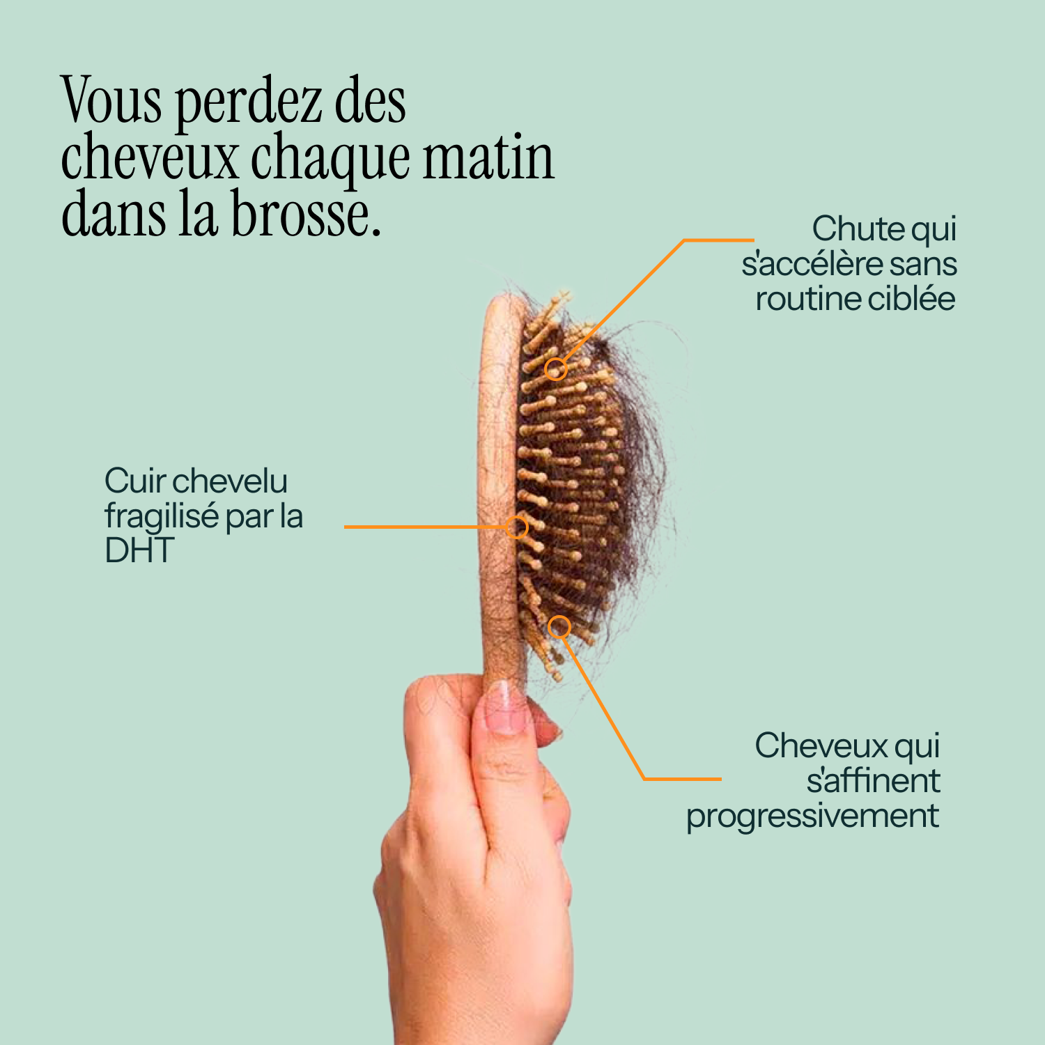 Hair Boost Routine KALABOOST