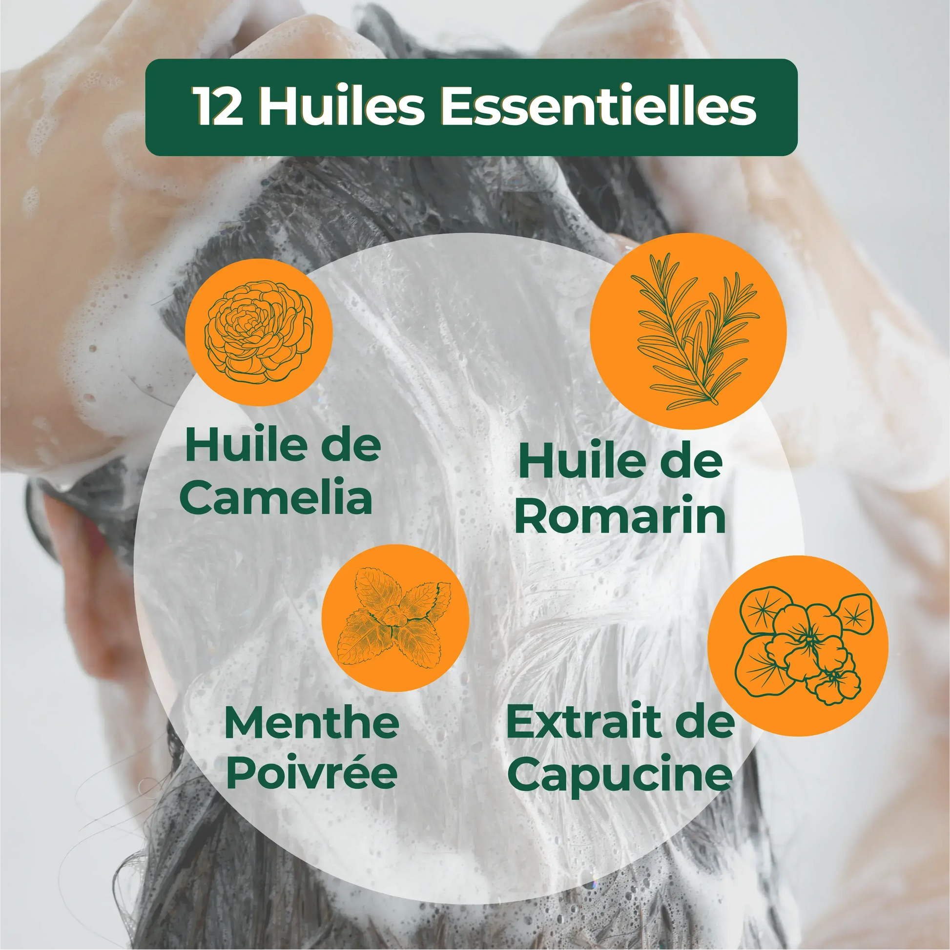 SHAMPOOING ANTI-CHUTE KALABOOST PH5 sans sulfate , sans silicone, sans paraben